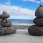 Sunny By Madeira * マシコ
