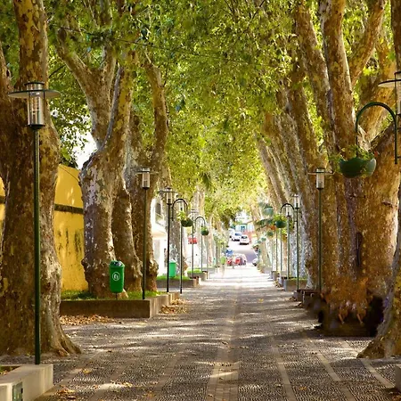 شقة Sunny By Madeira ماتشيكو