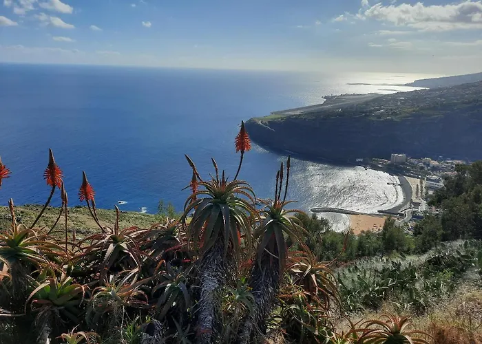 Sunny By Madeira شقة ماتشيكو