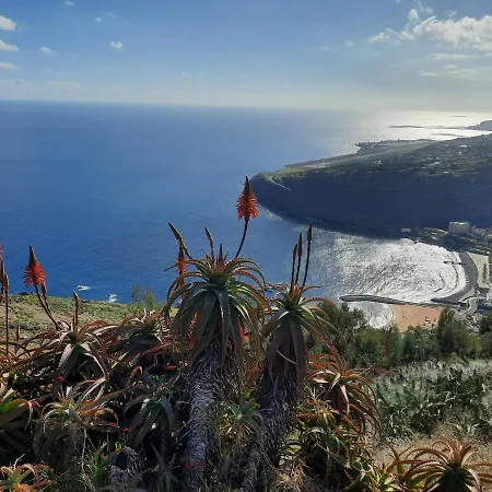 Sunny By Madeira Апартаменты Машику