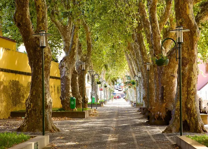 Apartament Sunny By Madeira Machico (Madeira)